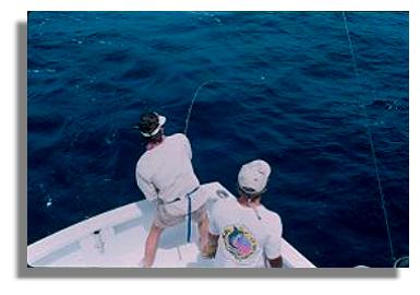 Aguila de Osa, Costa Rica Fishing