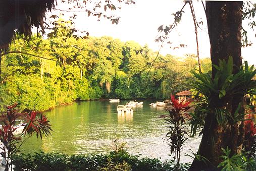Aguila de Osa Inn Costa Rica