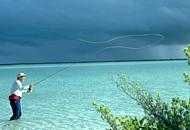 Wading for bonefish