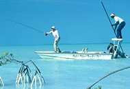Casting to a bonefish