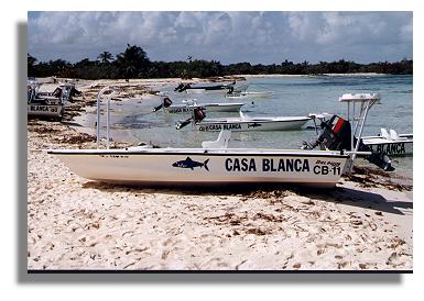 Casa Blanca Skiffs