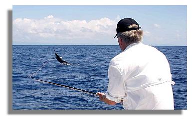 jumping sailfish