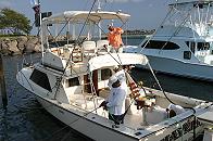 Sailfish Bay sport fisher