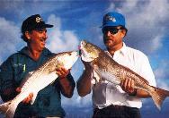 Redfish