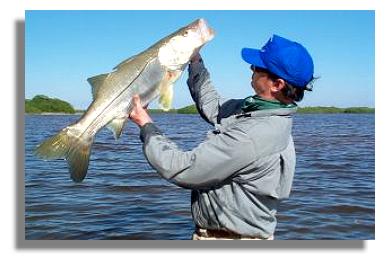 Capt. Johnston with a snook