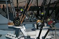 Sailfish Bay Lodge fishing