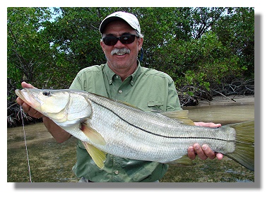 Pewter's Snook