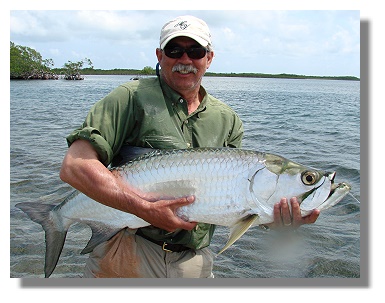 Peter's Tarpon 