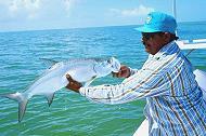 Small Ascension Bay Tarpon